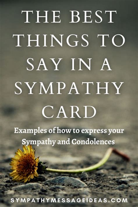 consolence|How To Express Condolences: Sympathy Cards And Messages.